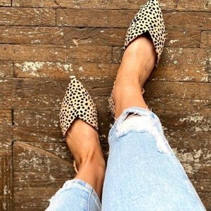 Leopard Shoes